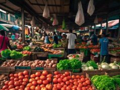 Nigeria to boost food security through Technology