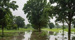 The Impact of the 2024 Flooding on Crops in Nigeria