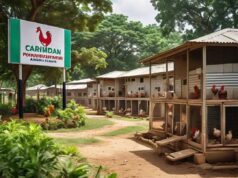 FG launches Noiler and Cobb 500 chicken breeds, alongside 14 high-yield crop varieties