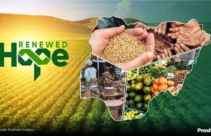 Renewed Hope for Food Security Through Insurance